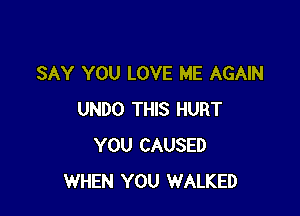 SAY YOU LOVE ME AGAIN

UNDO THIS HURT
YOU CAUSED
WHEN YOU WALKED