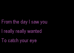 From the day I saw you

I really really wanted

To catch your eye