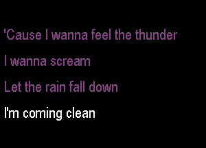 'Cause I wanna feel the thunder

I wanna scream

Let the rain fall down

I'm coming clean