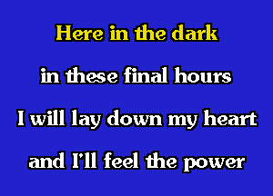 Here in the dark
in these final hours
I will lay down my heart

and I'll feel the power