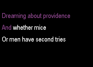 Dreaming about providence

And whether mice

Or men have second tries