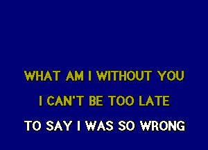 WHAT AM I WITHOUT YOU
I CAN'T BE TOO LATE
TO SAY I WAS 80 WRONG