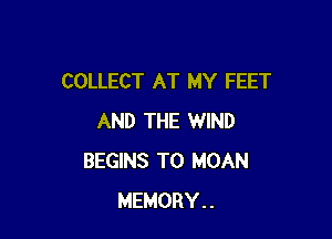 COLLECT AT MY FEET

AND THE WIND
BEGINS T0 MOAN
MEMORY..
