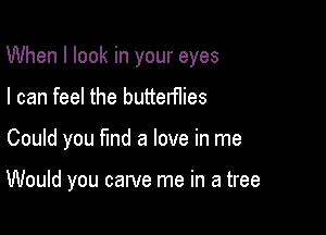 When I look in your eyes

I can feel the butterflies
Could you find a love in me

Would you carve me in a tree