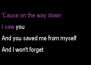 'Cause on the way down

I saw you

And you saved me from myself

And I won't forget