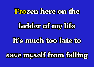 Frozen here on the
ladder of my life
It's much too late to

save myself from falling