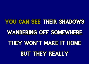 YOU CAN SEE THEIR SHADOWS
WANDERING OFF SOMEWHERE
THEY WON'T MAKE IT HOME

BUT THEY REALLY