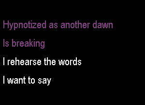 Hypnotized as another dawn

Is breaking
l rehearse the words

lwant to say