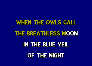 WHEN THE OWLS CALL

THE BREATHLESS MOON
IN THE BLUE VEIL
OF THE NIGHT