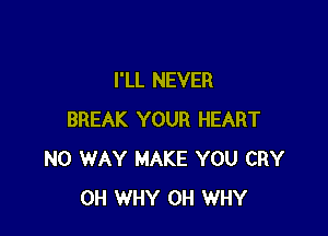 I'LL NEVER

BREAK YOUR HEART
NO WAY MAKE YOU CRY
OH WHY 0H WHY