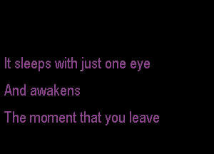 It sleeps with just one eye

And awakens

The moment that you leave