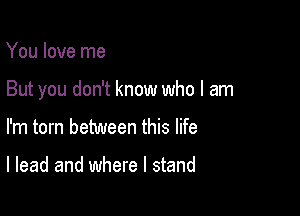 You love me

But you don't know who I am

I'm torn between this life

I lead and where I stand