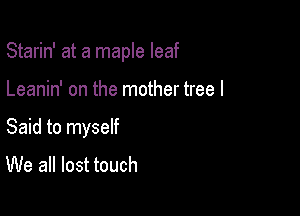 Starin' at a maple leaf

Leanin' on the mother tree I

Said to myself
We all lost touch