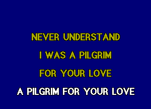 NEVER UNDERSTAND

I WAS A PILGRIM
FOR YOUR LOVE
A PILGRIM FOR YOUR LOVE