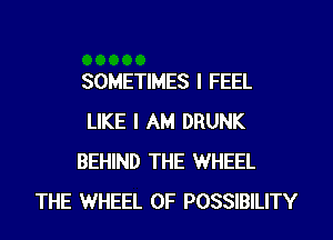 SOMETIMES I FEEL
LIKE I AM DRUNK
BEHIND THE WHEEL
THE WHEEL OF POSSIBILITY