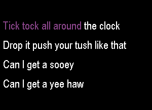 Tick took all around the clock

Drop it push your tush like that

Can I get a sooey

Can I get a yee haw