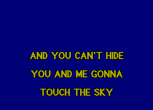 AND YOU CAN'T HIDE
YOU AND ME GONNA
TOUCH THE SKY