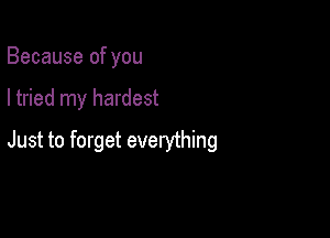 Because of you

I tried my hardest

Just to forget everything