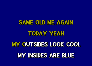 SAME OLD ME AGAIN

TODAY YEAH
MY OUTSIDES LOOK COOL
MY INSIDES ARE BLUE