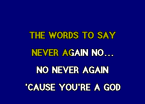THE WORDS TO SAY

NEVER AGAIN N0...
N0 NEVER AGAIN
'CAUSE YOU'RE A GOD