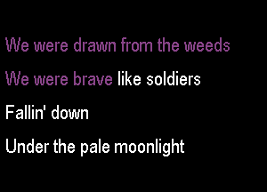 We were drawn from the weeds
We were brave like soldiers

Fallin' down

Under the pale moonlight