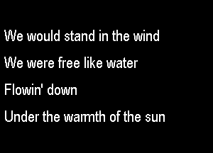 We would stand in the wind
We were free like water

Flowin' down

Under the warmth of the sun