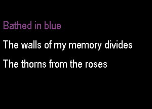 Bathed in blue

The walls of my memory divides

The thorns from the roses