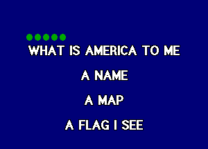 WHAT IS AMERICA TO ME

A NAME
A MAP
A FLAG I SEE