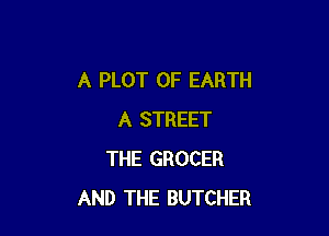A PLOT 0F EARTH

A STREET
THE GROCER
AND THE BUTCHER