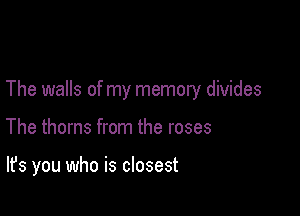 The walls of my memory divides

The thorns from the roses

It's you who is closest
