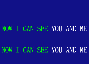 NOW I CAN SEE YOU AND ME

NOW I CAN SEE YOU AND ME