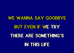 WE WANNA SAY GOODBYE
BUT EVEN IF WE TRY
THERE ARE SOMETHING'S
IN THIS LIFE