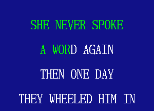 SHE NEVER SPOKE
A WORD AGAIN
THEN ONE DAY

THEY WHEELED HIM IN