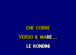 CHE CORRE
VERSO IL MARE...
LE RONDINI