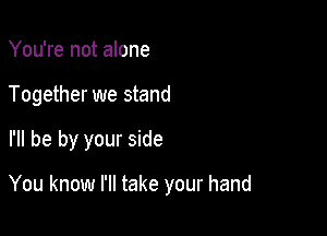 You're not alone
Together we stand

I'll be by your side

You know I'll take your hand