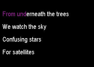 From underneath the trees

We watch the sky

Confusing stars

For satellites