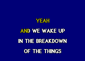 YEAH

AND WE WAKE UP
IN THE BREAKDOWN
OF THE THINGS
