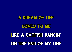 A DREAM OF LIFE

COMES TO ME
LIKE A CATFISH DANCIN'
ON THE END OF MY LINE