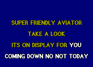 SUPER FRIENDLY AVIATOR

TAKE A LOOK
ITS 0N DISPLAY FOR YOU
COMING DOWN N0 NOT TODAY