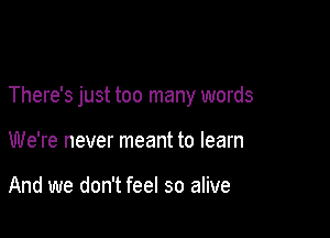 There's just too many words

We're never meant to learn

And we don't feel so alive