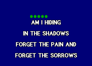 AM I HIDING

IN THE SHADOWS
FORGET THE PAIN AND
FORGET THE SORROWS