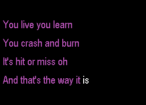 You live you learn

You crash and burn
lfs hit or miss oh

And that's the way it is