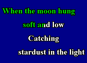 When the moon hung

soft and low

Catching

stardust in the light