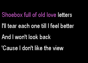 Shoebox full of old love letters

I'll tear each one till I feel better

And I won't look back

'Cause I don't like the view