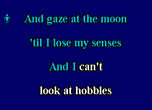rip And gaze at the moon

'til I lose my senses
And I can't

look at hobbles