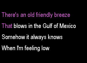 There's an old friendly breeze
That blows in the Gulf of Mexico

Somehow it always knows

When I'm feeling low