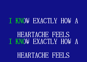 I KNOW EXACTLY HOW A

HEARTACHE FEELS
I KNOW EXACTLY HOW A

HEARTACHE FEELS