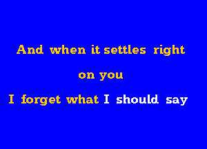 And when it settles right

on you

I forget what I should say