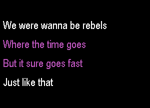 We were wanna be rebels

Where the time goes

But it sure goes fast
Just like that