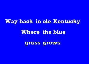 Way back in ole Kentucky

Where the blue

grass grows